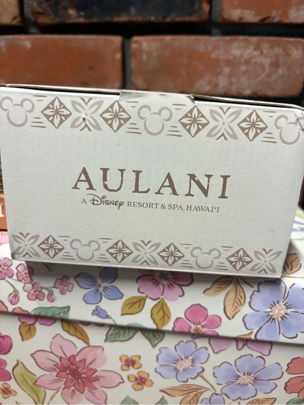 Disney Aulani Brown Tabletop Light Lantern
